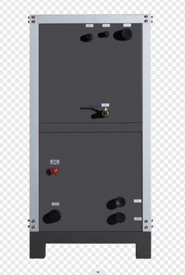 tên